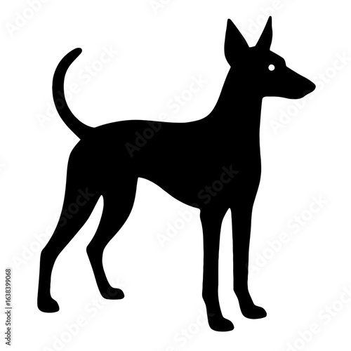 Design a black silhouette of a Podenco Canario white background clean vector shape