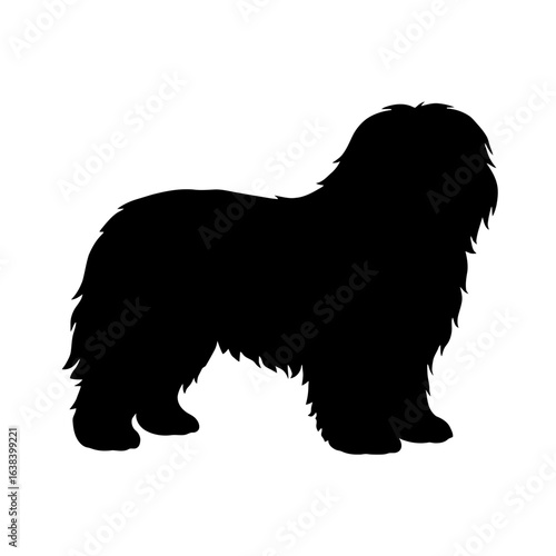 Design a black silhouette of a Polish Lowland Sheepdog white background clean vector shape