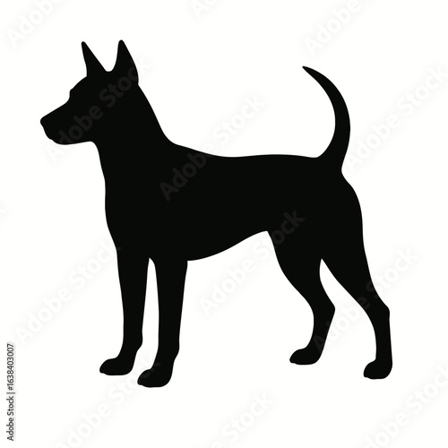 Design a black silhouette of a Thai Ridgeback white background clean vector shape
