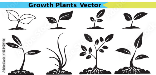 Growth Trees Sets 