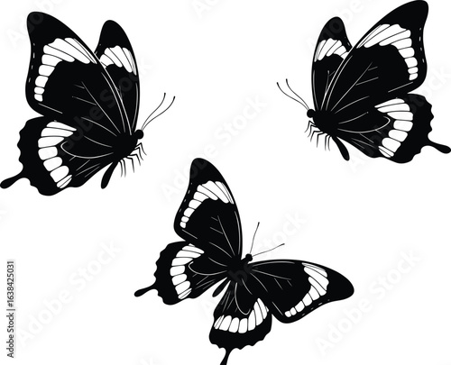 Elegant black and white butterfly silhouette illustration, isolated insect vector art, flying butterflies design, decorative nature graphic, artistic wildlife drawing