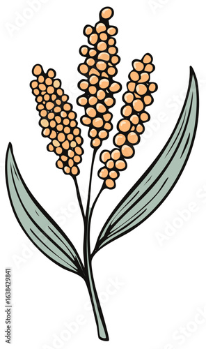 Cereal grain plant vector illustration with multiple orange seeds and green leaves