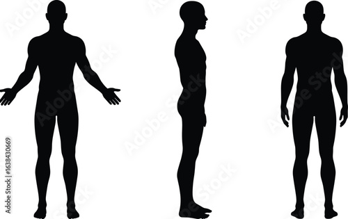 Male human body silhouette vector front side and back view of man anatomy outline isolated black figure pose set full body illustration concept
