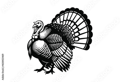 Wild Turkey Silhouette Vector Illustration – Black and White Isolated Bird Clipart