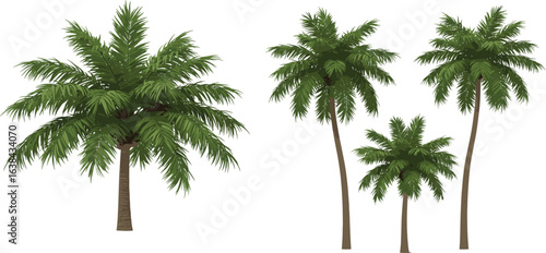 Realistic palm tree vector set, tropical green foliage illustration, summer nature clipart, tropical island plants graphic.
