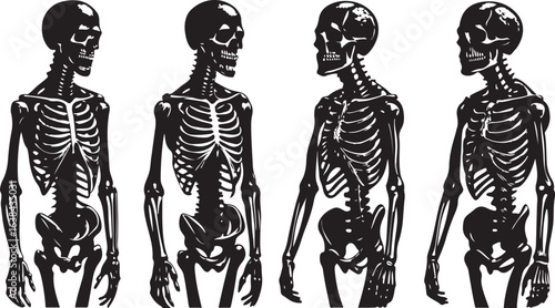 Hand-drawn sketch of a walking human female skeleton silhouette with flowers