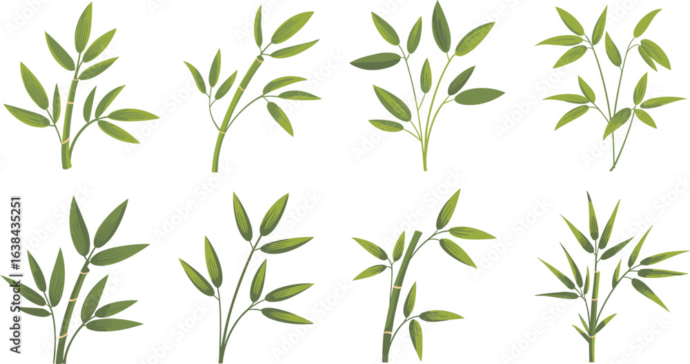 Fototapeta premium Stylish green bamboo vector illustration set with leaves, ideal for Asian decor, eco nature themes, botanical designs, and wallpapers.