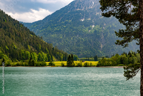Fantastic view across the Heterwanger See to a meadow with a hut on the other side of the shore. In the foreground on the right side, the branches of a pine tree can be seen