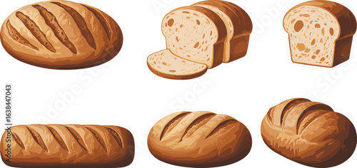 Bread illustration set, realistic bakery clipart, artisan loaf artwork, sliced bread drawing, rustic bread design, food element, culinary graphic
