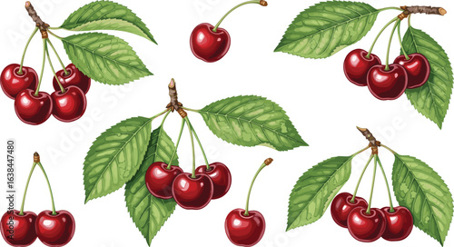 Cherry fruit illustration, red cherries with stems, green leaves, botanical drawing, glossy texture, nature art, realistic style, food element
