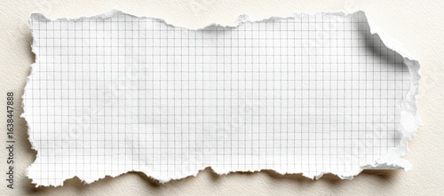Torn piece of graph paper (2)