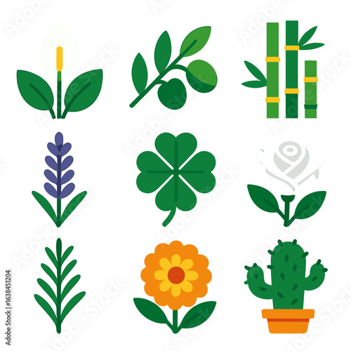 Symbolic Plant Icons. Flat vector icons of symbolic plants and meanings: peace lily for sympathy, olive branch for peace,