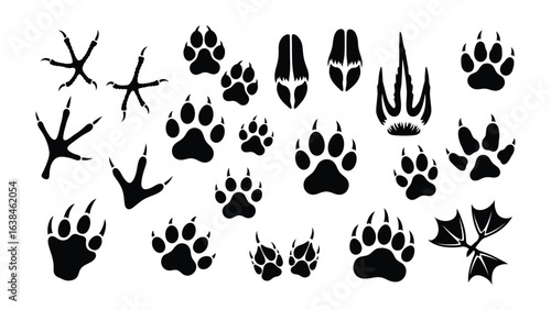Animal Track Marks: A collection of diverse animal track silhouettes, showcasing various footprints, paw prints and tracks in a simple, easily recognizable format