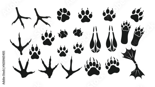 Animal Tracks: A collection of meticulously detailed animal tracks and footprints, showcasing a variety of species, in a minimalist aesthetic. A great set of animal prints perfect for designers.