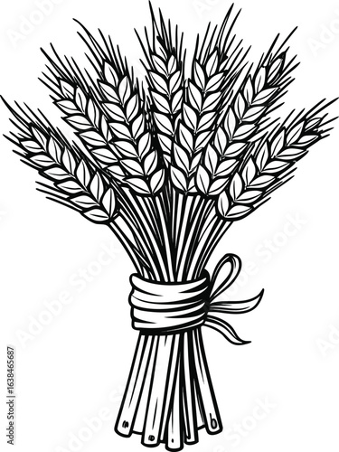 Autumn Craft Alternative Wheat Sheaf, Tied with Ribbon