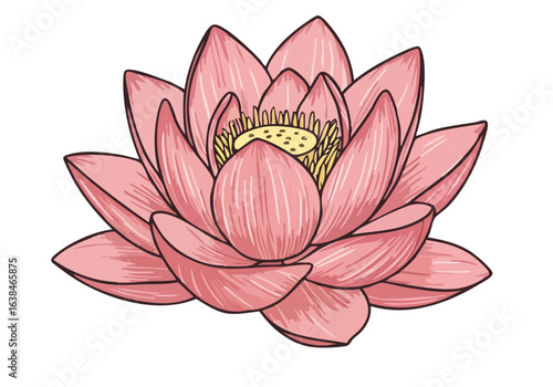 detailed  pink lotus flower symbolizing purity and ancestral honor Elegant symmetrical composition with a soft textured style Ideal for wellness spirituality or heritage themes