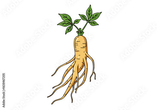 stylized  ginseng root symbolizing heritage and health Bold graphic design on a vibrant pink background Perfect for wellness natural remedies and traditional medicine themes