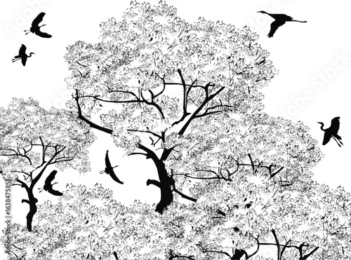 storks and trees isolated on white