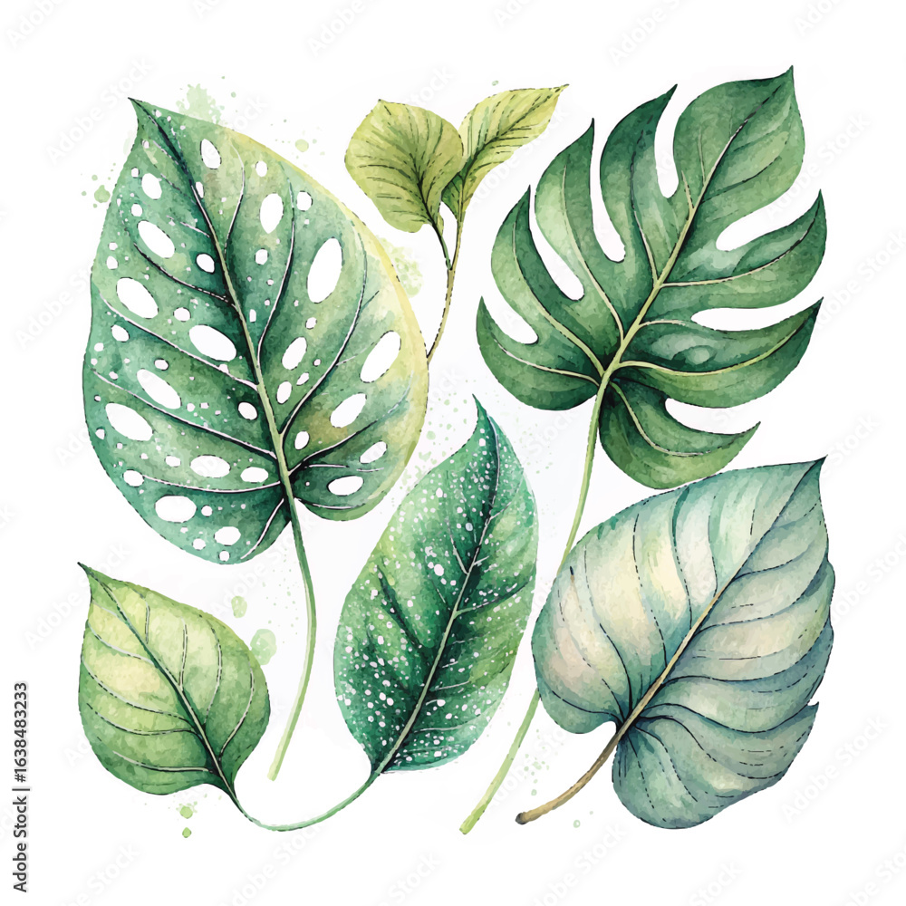 Fototapeta premium リーフ葉水彩画イラスト素材 セット