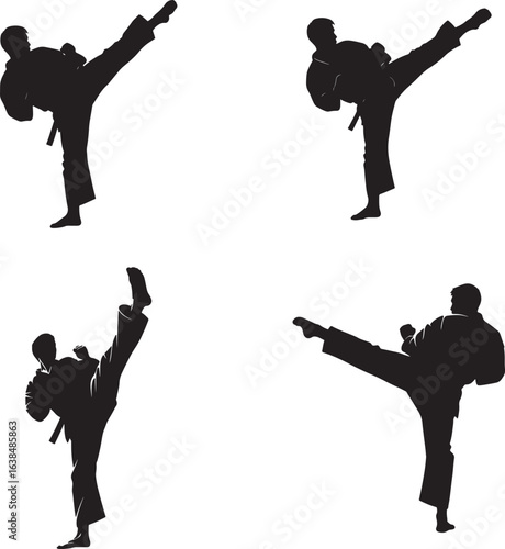 Martial Arts Fighter Silhouettes in Dynamic Kicking Poses.