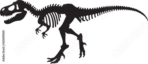 Isolated tyrannosaurus rex dinosaur skeleton vector illustration of a gigantic prehistoric reptile fossil
