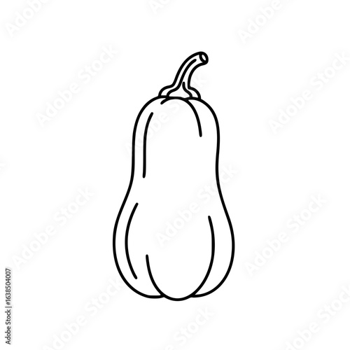 Line art illustration of butternut squash on white background  