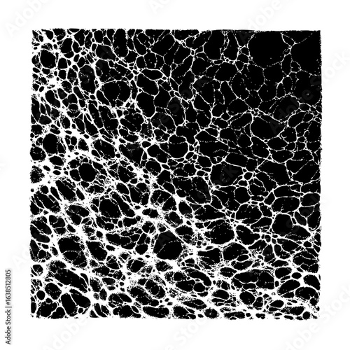 Abstract network of white lines on black background creating a complex interconnected design