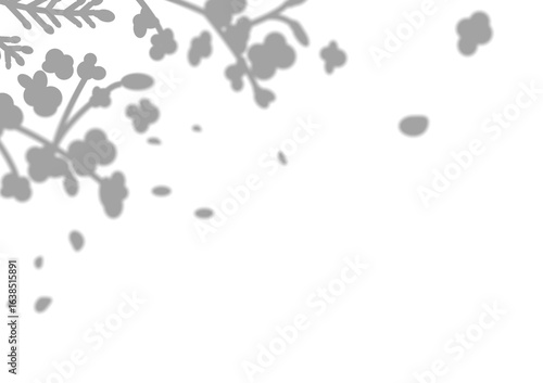 Transparent leaves shadows overlay