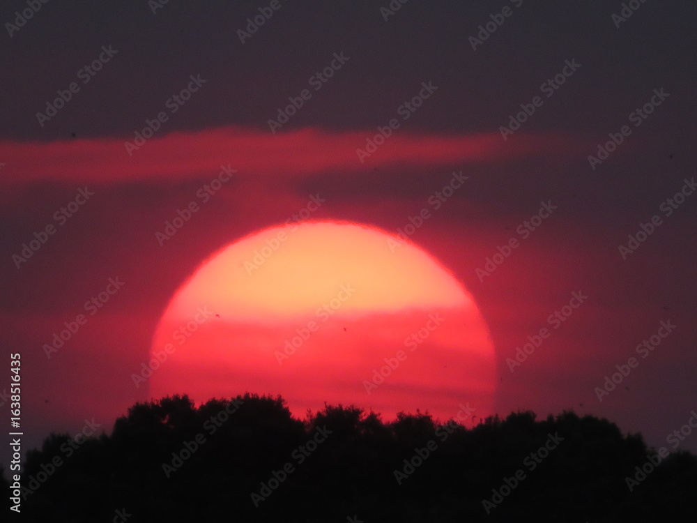 Naklejka premium beautiful sunset on the horizon making night dark