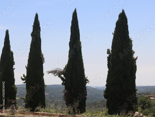 Beautiful landscapes of towns, historic buildings, living nature with large trees, endless views