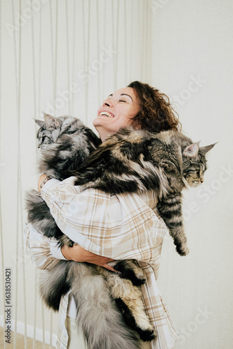 Beautiful woman with curly hair holds two big gray cats in her hands. Two fluffy Maine Coons in the hands of a woman.