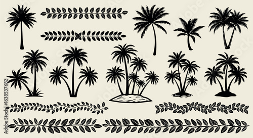 Vector art of collection of black silhouette palm trees and tropical foliage elements, including borders, on a light background