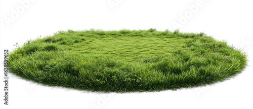 Circular patch of vibrant green grass against a white background