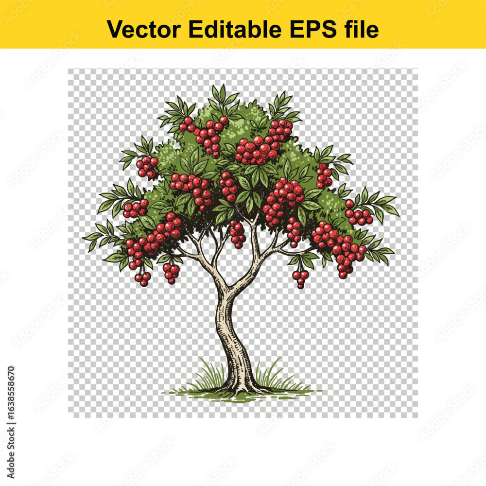 Obraz premium Cherry Tree Botanical Illustration – Vintage Ink Linocut Style