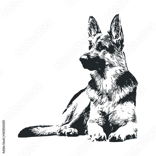 Detailed black and white illustration of a german shepherd dog lying down