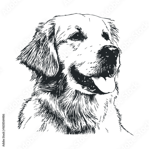 Black and white sketch of a golden retriever dog with a happy expression