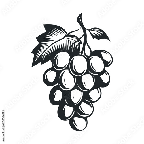 Black and white graphic illustration of grape cluster with leaves