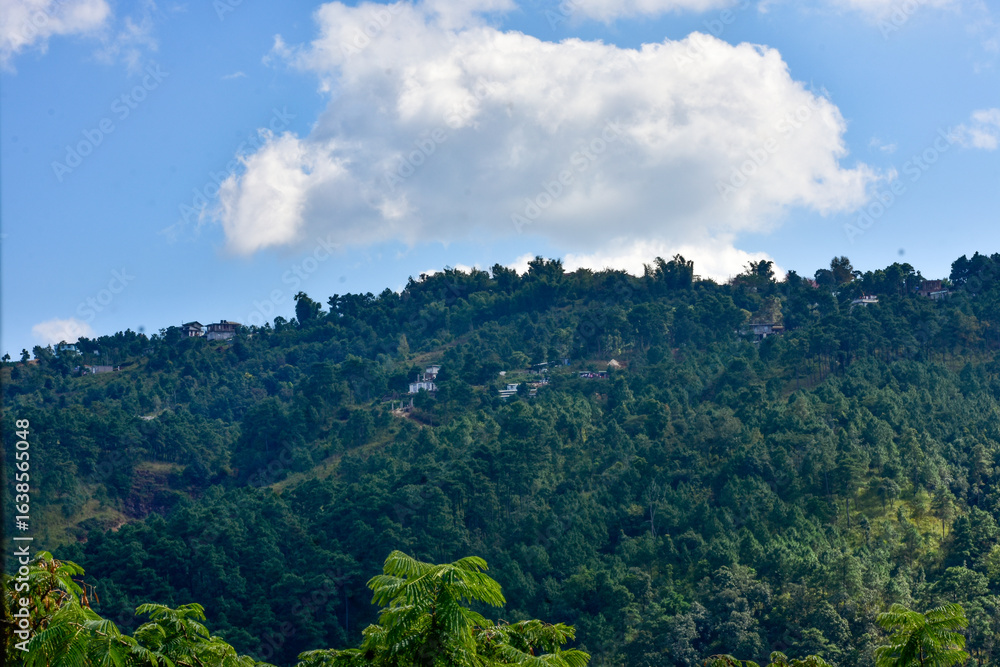 Obraz premium A stunning landscape of lush green pine forests on a hill, with a few houses and a bright blue sky in Meghalaya. 