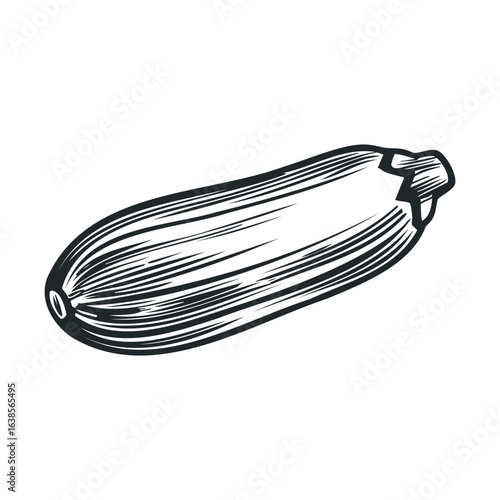Hand-drawn zucchini illustration in black and white on white background