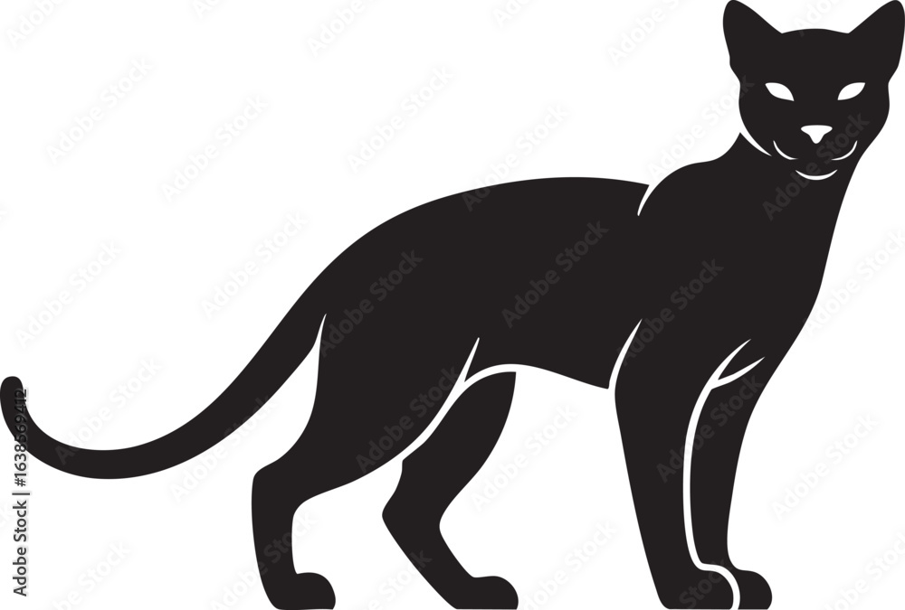 Obraz premium Black cat standing alert in silhouette