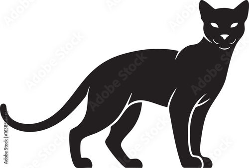 Black cat standing alert in silhouette