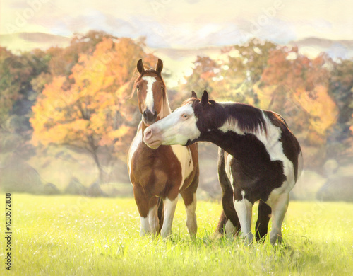 American Paint Horses touch and socialize in open autumn pasture. Stylized digital photo art.