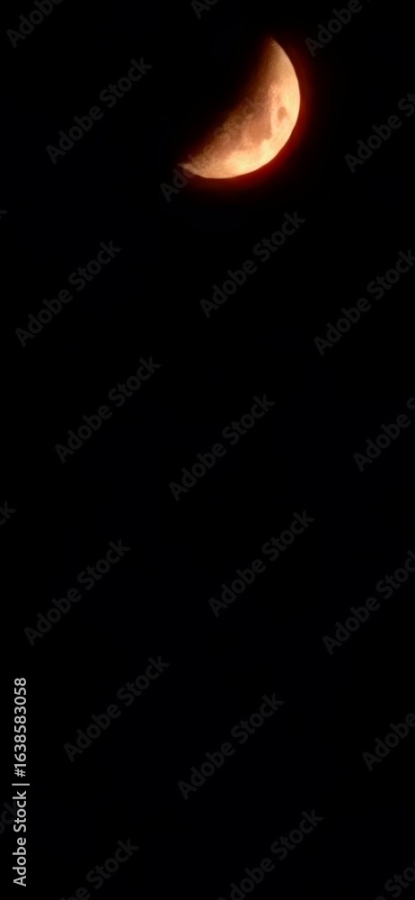 Obraz premium moon in the night sky