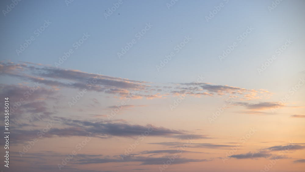 Fototapeta premium clouds in the sky