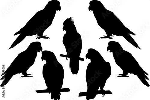 "Black parrot and cockatoo silhouettes arranged in a balanced pattern, modern flat illustration, no shading, varied poses and sizes, white background."