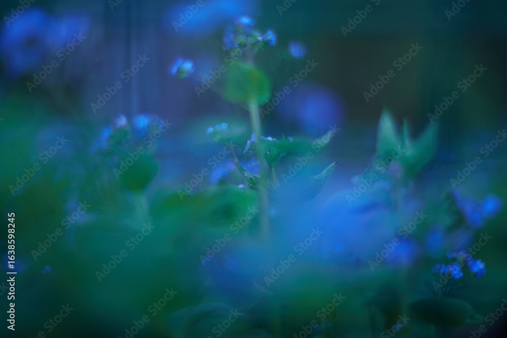 Fototapeta premium Enchanting and Mystical Blue Green Flora Presented in a Soft Focus for Maximum Effect