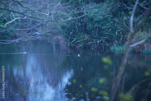 A beautiful and serene pond reflecting nature with gentle ripples adding to the tranquil scene