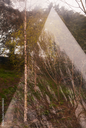 A Tranquil Reflection of Nature Expressed Through Beautiful Geometric Shapes and Forms