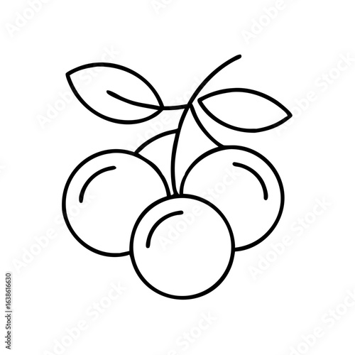 Vector icon of sloe berries with leaves