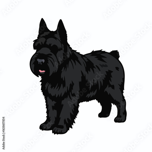 Black Russian Terrier Portrait